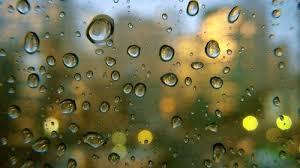 Shower - My, Poems, Rain, Love