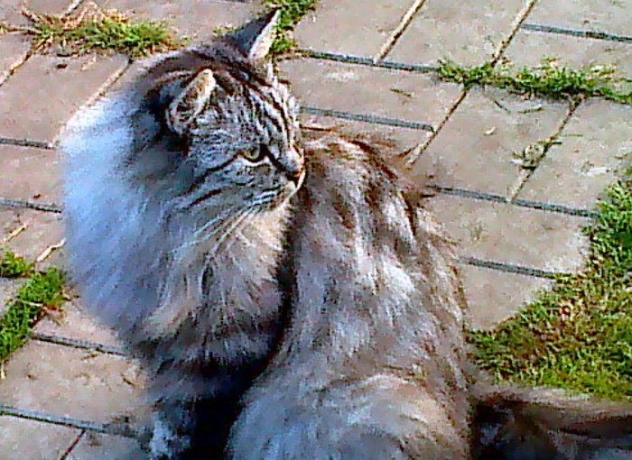 � ���� ����...