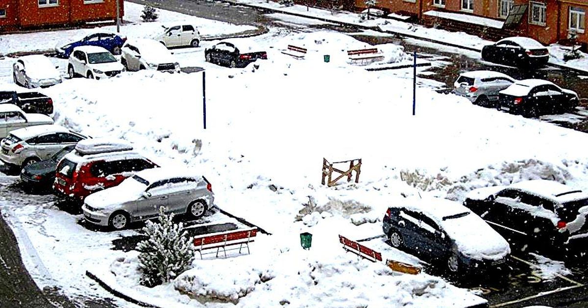 БЕЛАЯ ШАПКА | Пикабу