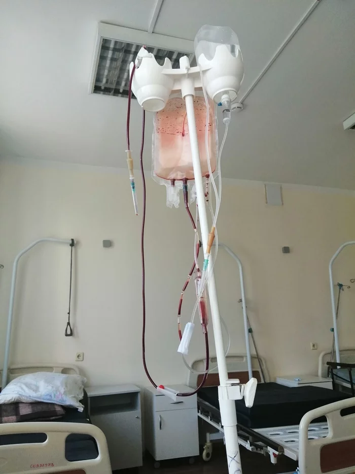 Continuation of posts about leukemia, the hospital and about me - My, Cancer and oncology, Acute leukemia, Leukemia, Disease, No rating, Thank you, Longpost