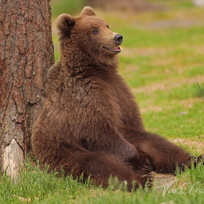 Жизнь удалась