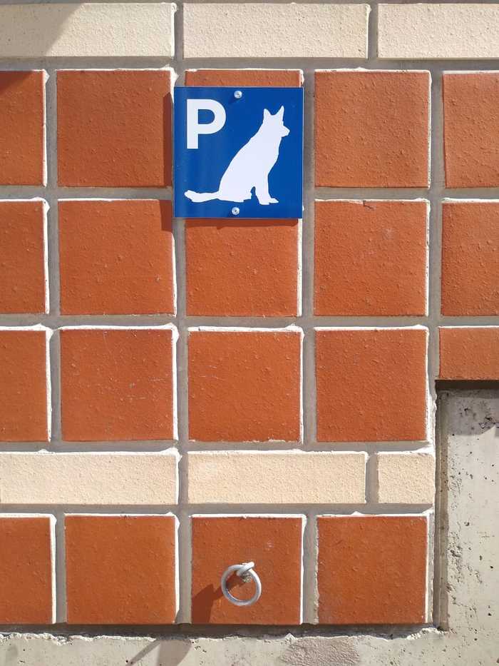 Собачий паркинг Собака, Парковка, Финляндия