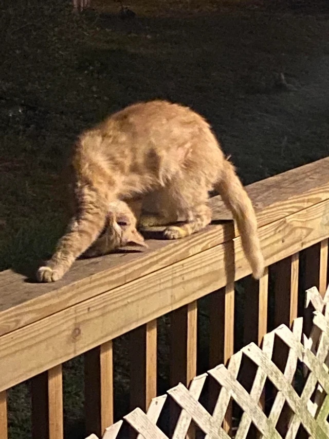 Веди себя естественно