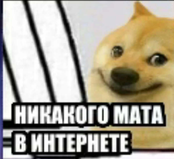 But the dog says something - My, Doge, Memes