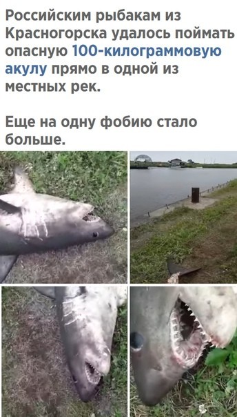 "�� ��������..."