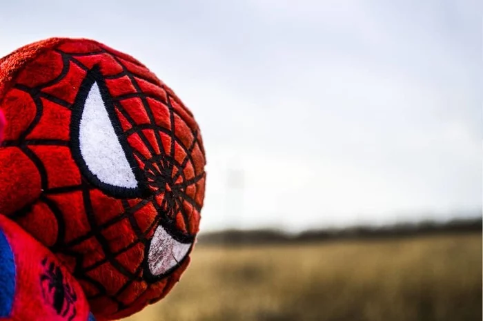 Who should I sell Spider-Man photos to? xD - My, Spiderman, The photo, Peter Parker, Longpost