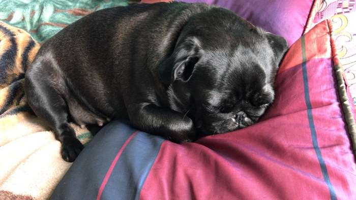 Умиротворение