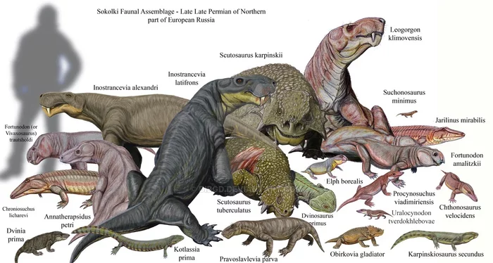 Как динозавры мир захватили Динозавры, Животные, Наука, Природа, Палеонтология, Длиннопост, Интересное, Познавательно