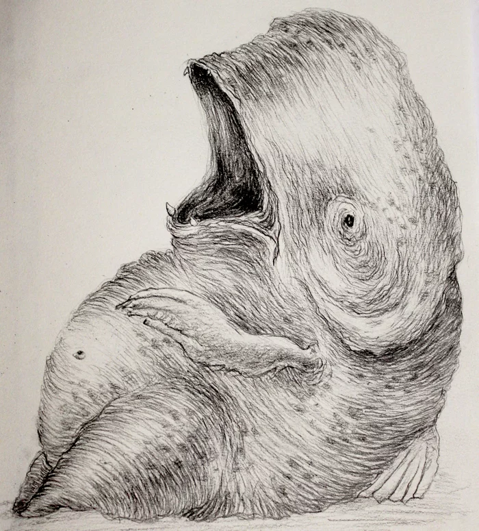 Fish - My, A fish, Drawing, Pencil drawing