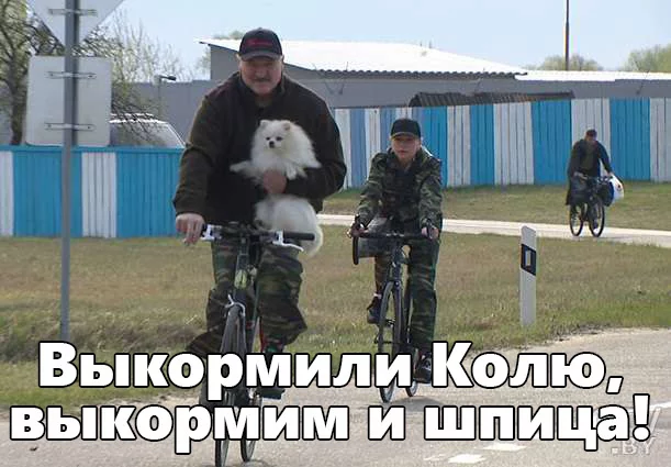 Yes! Or For! - My, Alexander Lukashenko, Spitz