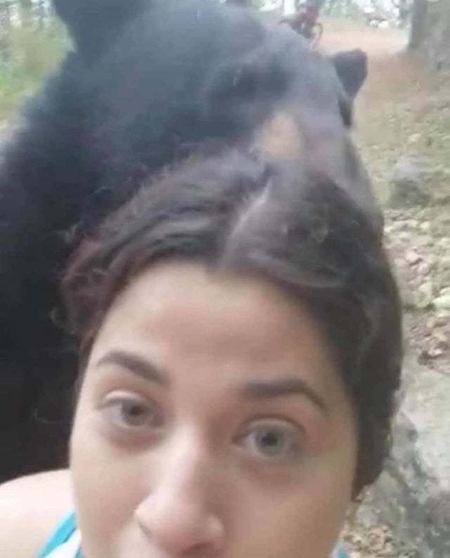 Selfie with a wild bear - The Bears, Selfie