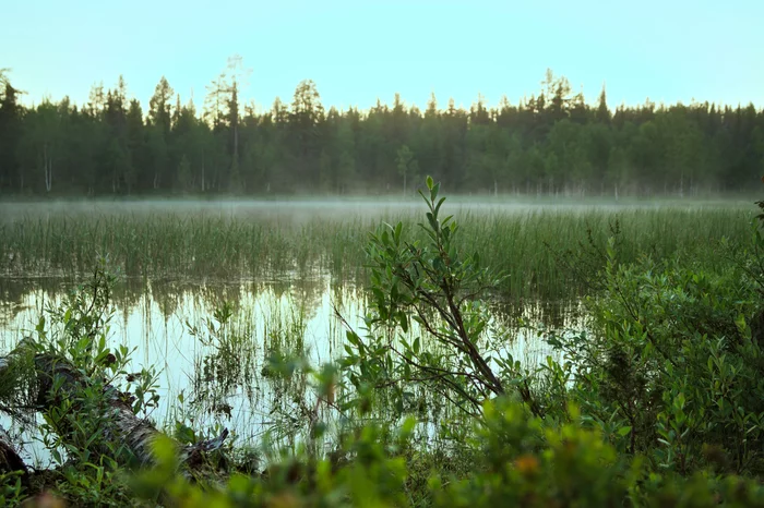 Urho Kekkonen kansallispuisto (national park) - Моё, Лапландия, Поход, Фотография, Природа, Длиннопост