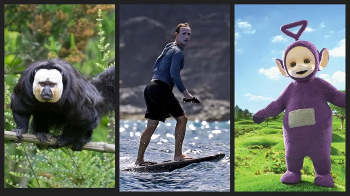 Similar? - Similarity, Mark Zuckerberg, Tinky Winky, Surfing, Hawaii, Sunscreen, Monkey