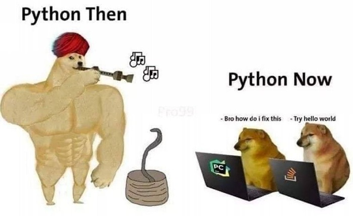 Программисты тут?