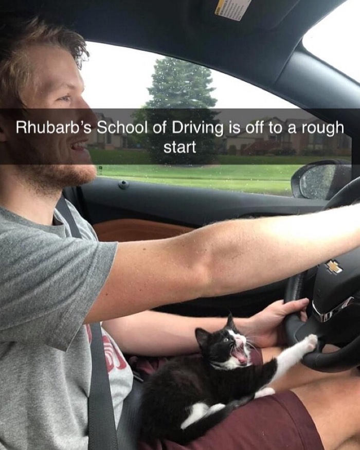   , 