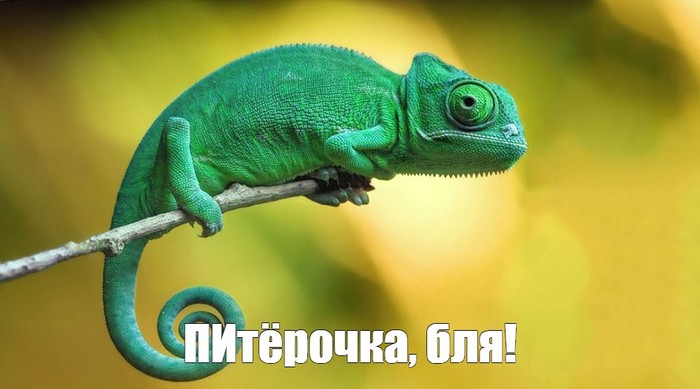    , , , , 