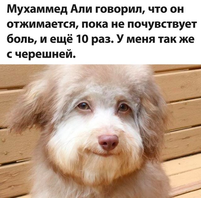 ���� ����