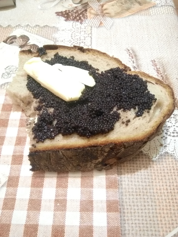 �������� �����