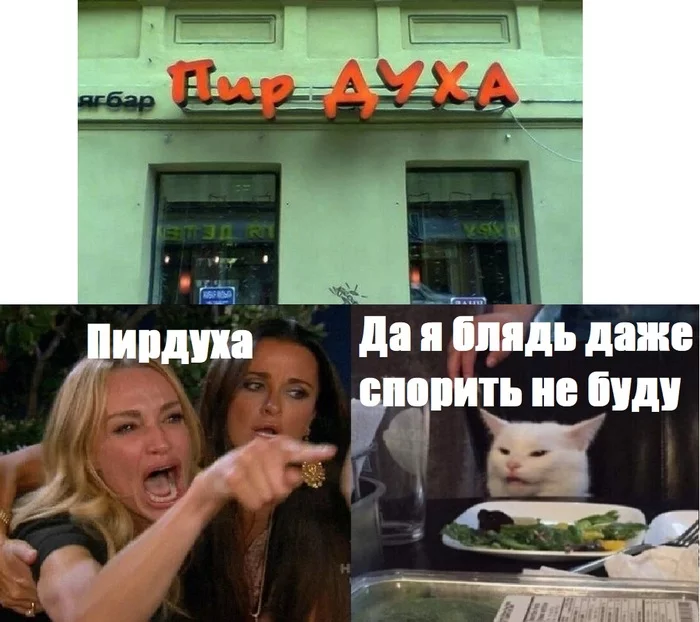 Cafe in St. Petersburg - Accordion, Memes, Funny name, Mat, Two women yell at the cat