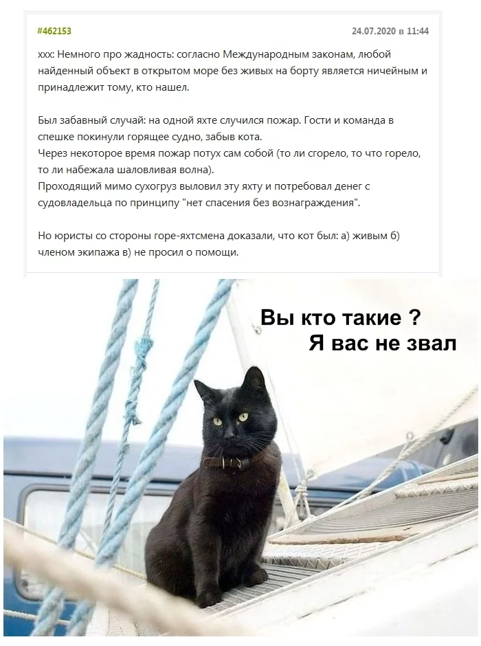 Because you don't fucking - cat, Crew, Yacht, Admiralty law