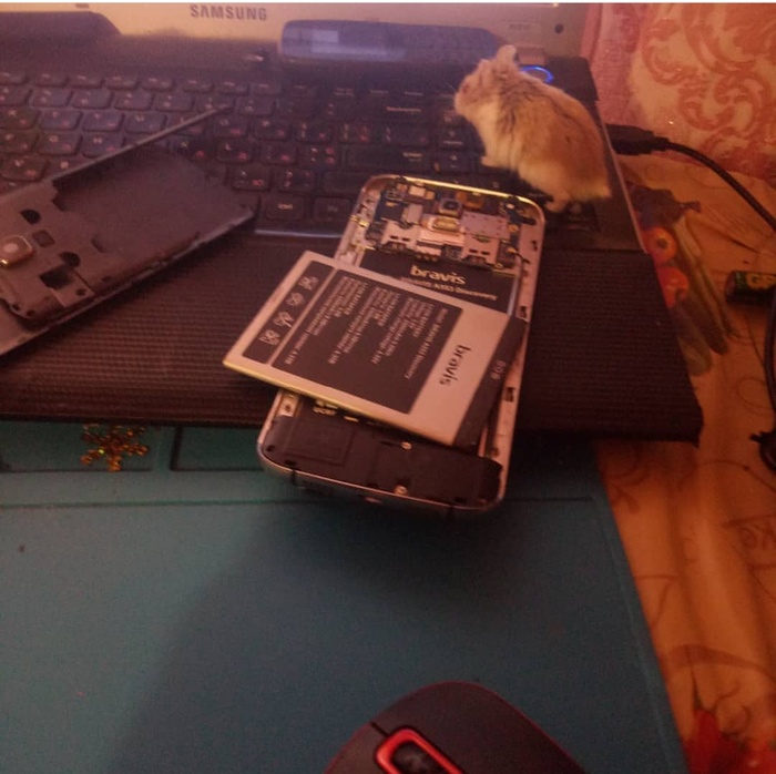 Новый сотрудник