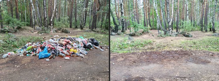 Cleaning up a dump in the park. - My, Chistoman, Raid, Garbage, Cleaning, Saturday clean-up, Chelyabinsk, Video