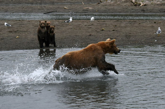 Неподдельный интерес)