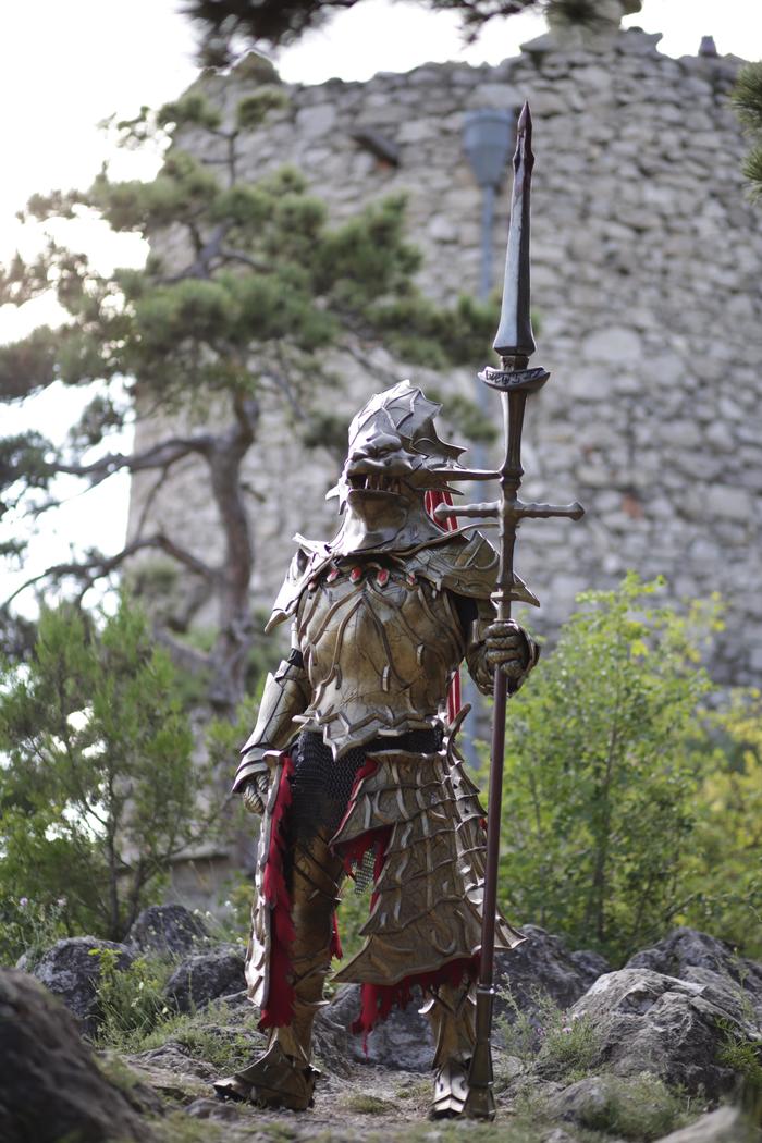 The coolest homemade armor of Ornstein the Dragonslayer from the game Dark Souls, which took about 7 months of work - The photo, Games, Dark souls, Cosplay, Costume, Armor, The male, Men
