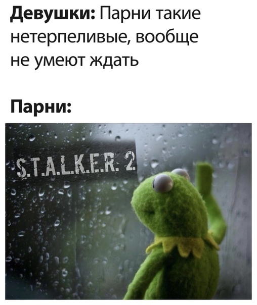 We are waiting - Computer games, Stalker 2: Heart of Chernobyl, Expectation, Kermit the Frog, Picture with text