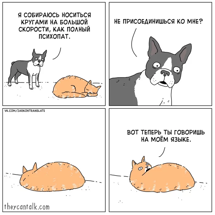 Three o'clock in the morning - Theycantalk, Comics, Dog, cat, Translation, Translated by myself, Accordion