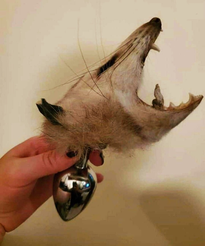   ,  , 