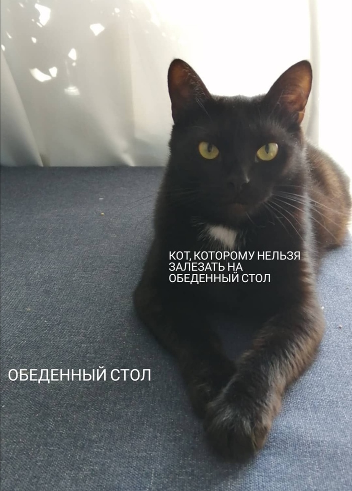 суп с котом комбинация. 1595852514128387072. суп с котом комбинация фото. суп с котом комбинация-1595852514128387072. картинка суп с котом комбинация. картинка 1595852514128387072. Слушайте Russian Girls — Комбинация на Яндекс.Музыке