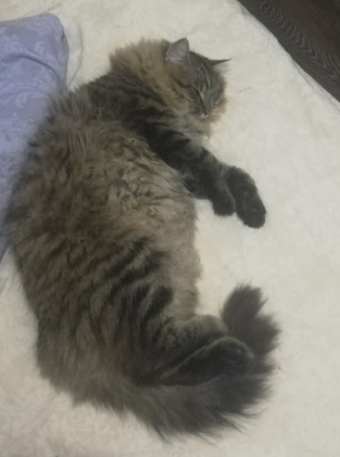     , , ,   , 