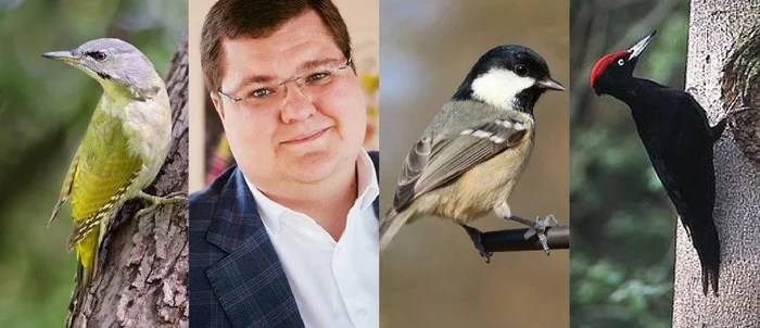 Birds that live comfortably in Moscow - My, Moscow, Memes, Sergei Sobyanin, Birds, Igor Chaika