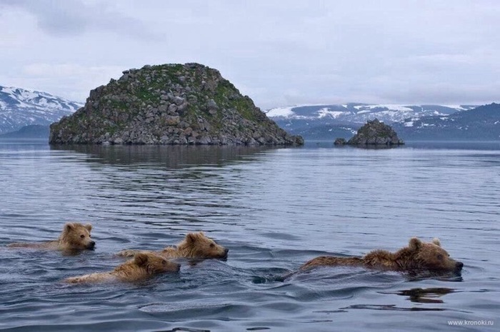 ������� ����� ������ � �������� �����������