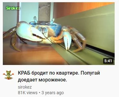 I see a rhyme - Crab, A parrot, Вижу рифму