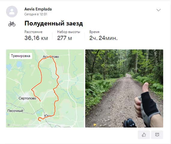 Faster than rain. Bike rides July 2020 - My, A bike, Pokatushki, Forest, Mushrooms, Chanterelles, Sertolovo, Video, Longpost