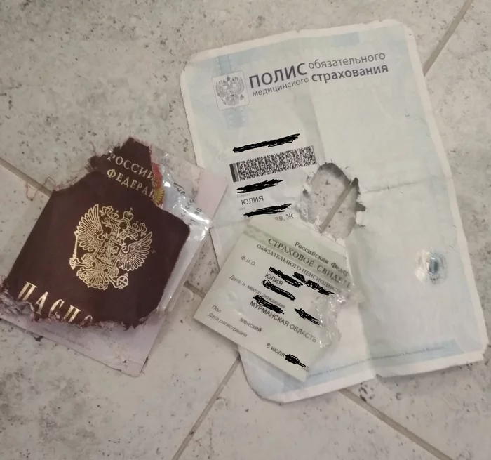 Get a dog! It will be fun! - My, Dog, The passport, Documentation, Horror