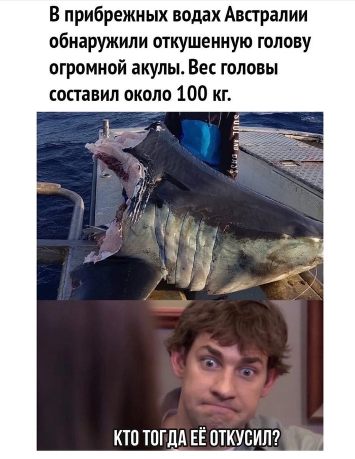 Как думаете кто это зделал?