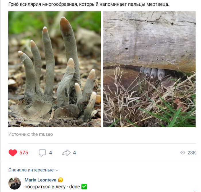 ������� ���