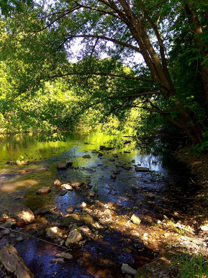 River ghost. Река Ольховка. Плотина на Ольховке.