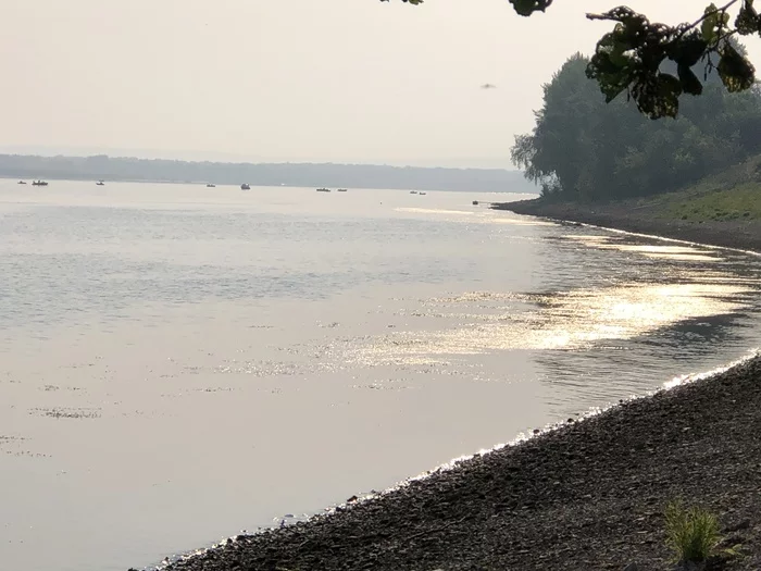 Morning on the Volga - My, Morning, Summer, Nature, The photo, Longpost, Volga river