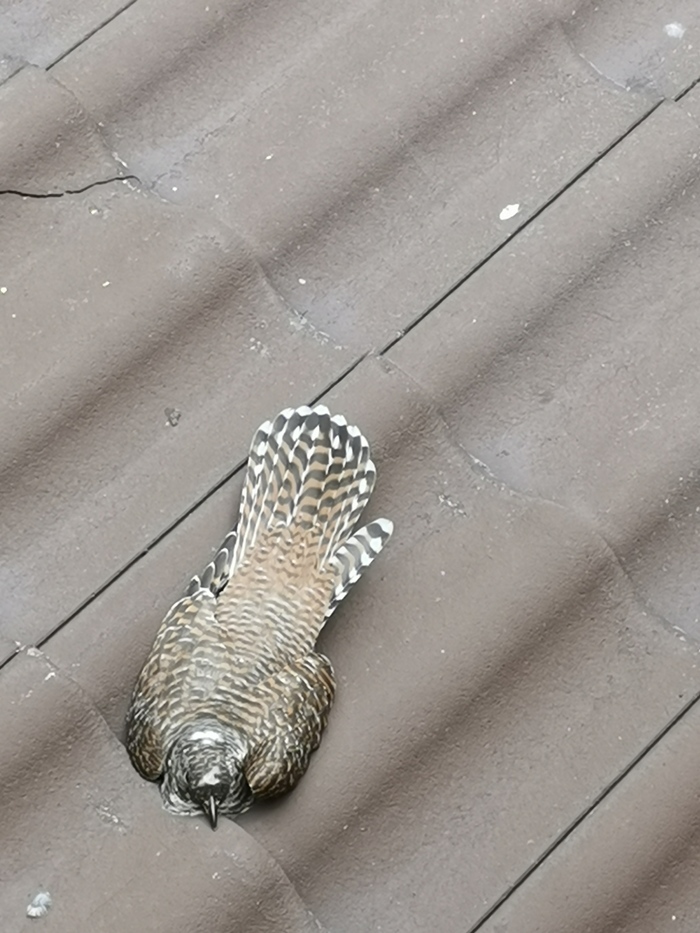 ����� ��������� � ����