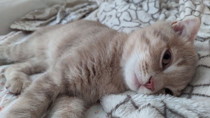 ����� ��� ��� ������ ��� ���