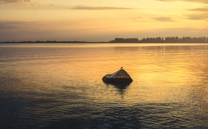 Island for one) - My, The photo, Birds, Landscape, Sunset, Horizon, River, Nature