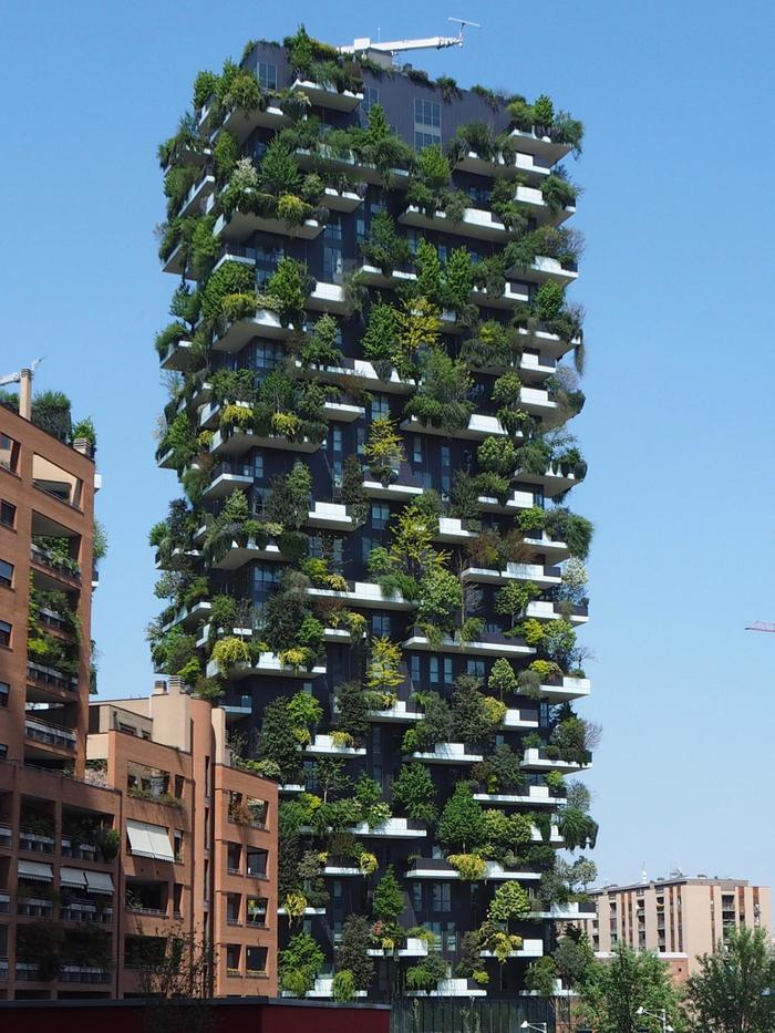 There would be more such buildings in cities! - High-rise building, Building, Plants, Tree, Ecology, Landscaping, Cityscapes, beauty, Video, Street photography