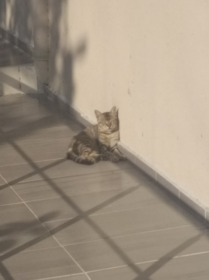 � ������ ������� ������