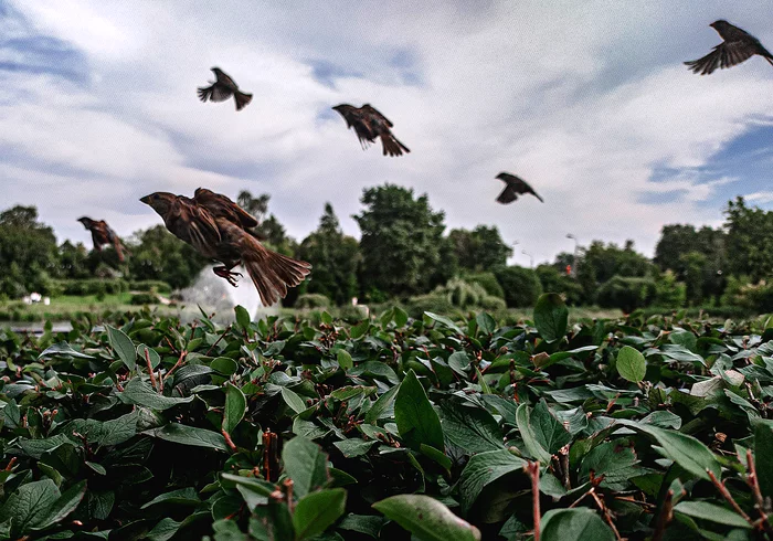 On takeoff - My, Mobile photography, Xiaomi Redmi Note 7