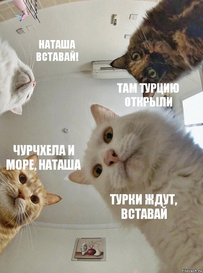   ,    
