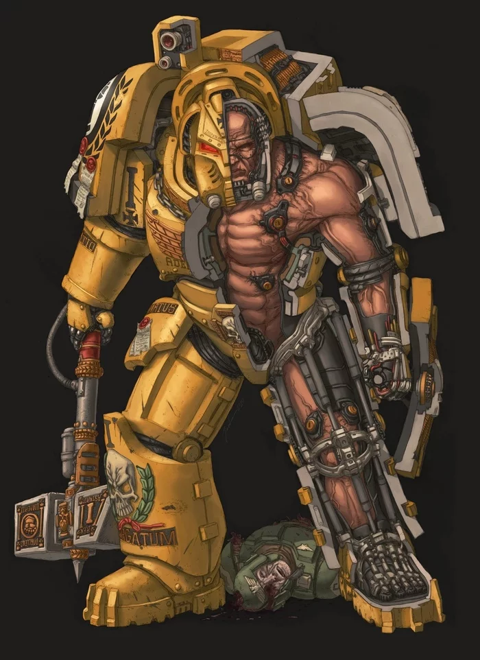 Astartes cross-section - Warhammer 40k, Adeptus Astartes, Wh Art